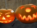 pumpkins1